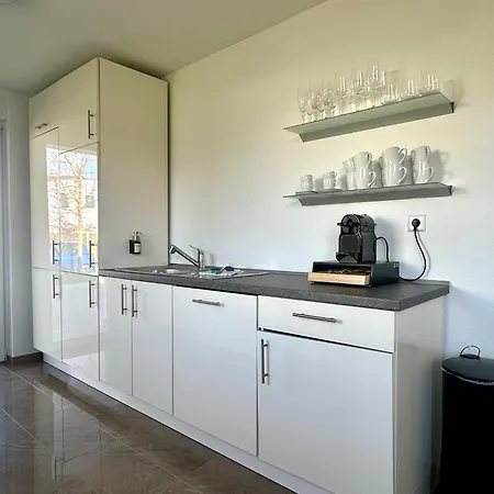 Bonnystay Rheinfelden - 6 Personen - Kueche - Parkplatz - Terrasse Karsau